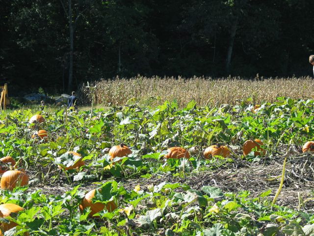 sunday_in_fall_014.jpg