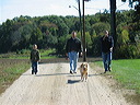 they_walked_to_the_farm